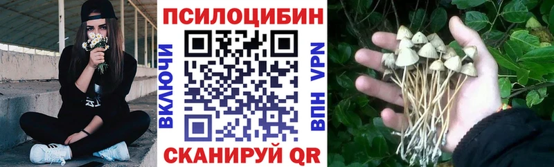 Купить закладки  Алушта  Галлюциногенные грибы Psilocybine cubensis 